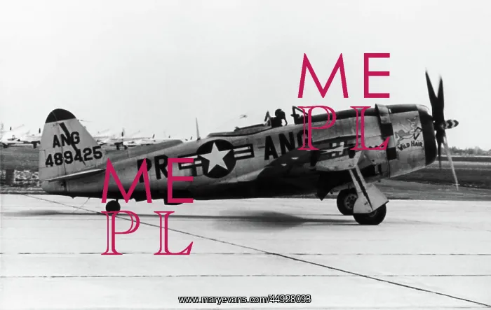 : Republic P-47 Thunderbolt : Republic P-47 Thunderbolt