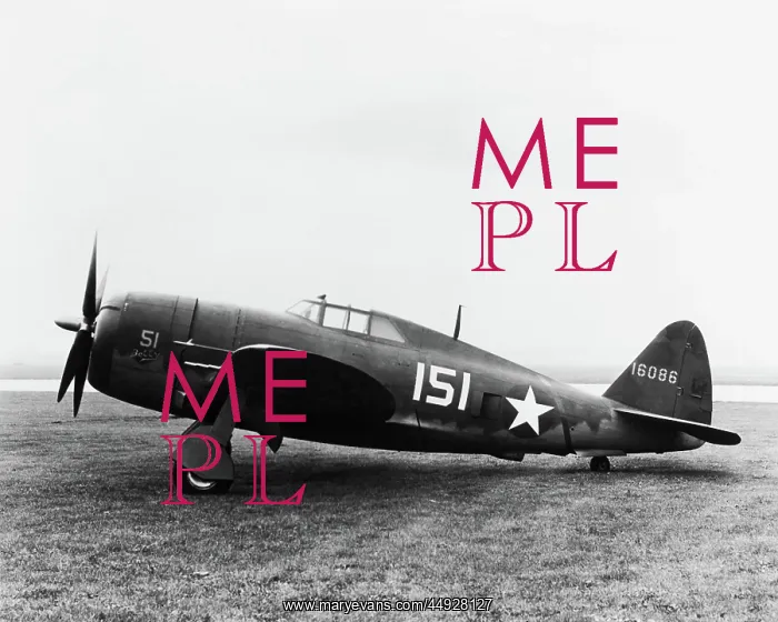 : Republic P-47 Thunderbolt : Republic P-47 Thunderbolt