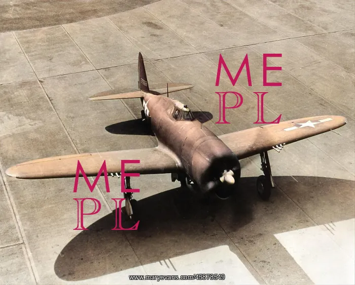 : Republic P-47D-big and robust, 15, 683 of all versions? : Republic P-47D-big and robust, 15, 683 of all versions?