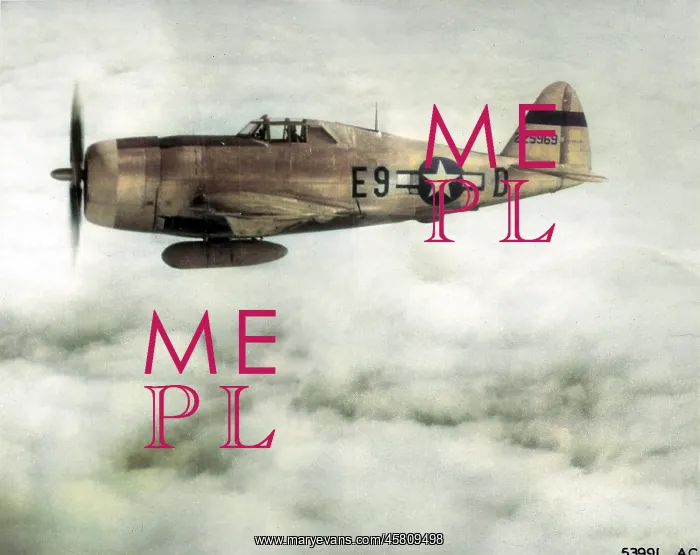 : Republic P-47D (side view) aloft : Republic P-47D (side view) aloft