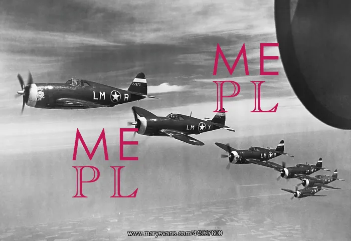  : Republic P-47D Thunderbolt