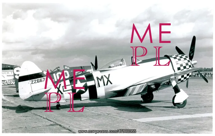 : Republic P-47D Thunderbolt 45-49192 : Republic P-47D Thunderbolt 45-49192
