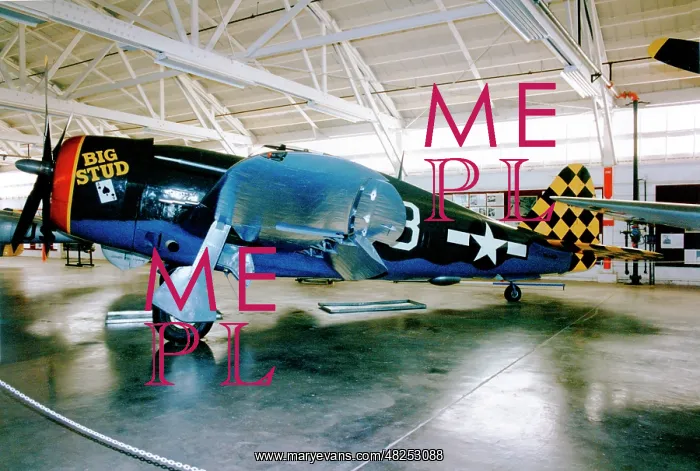: Republic P-47D Thunderbolt N14519 : Republic P-47D Thunderbolt N14519