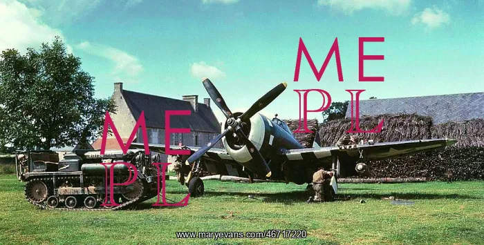: Republic P-47D Thunderbolt being serviced in a rural Es : Republic P-47D Thunderbolt being serviced in a rural Es