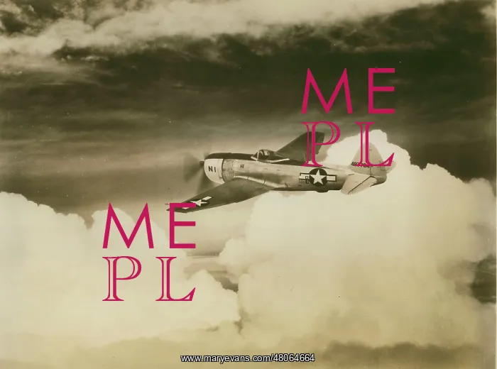 : Republic P-47N-RE Thunderbolt 44-87784 : Republic P-47N-RE Thunderbolt 44-87784