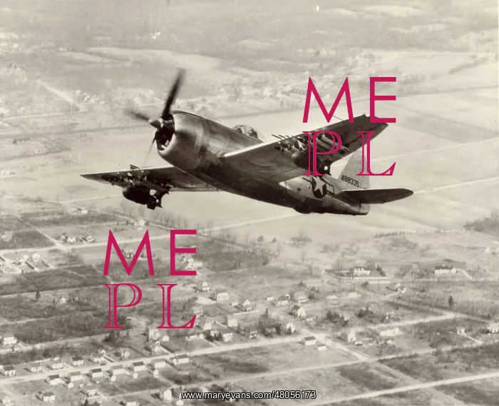 : Republic P-47N Thunderbolt 44-88335 : Republic P-47N Thunderbolt 44-88335