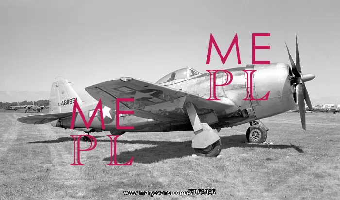  : Republic P-47N Thunderbolt 44-88651