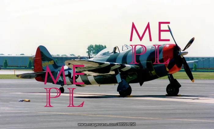 : Republic P-47N Thunderbolt 44-89348 : Republic P-47N Thunderbolt 44-89348