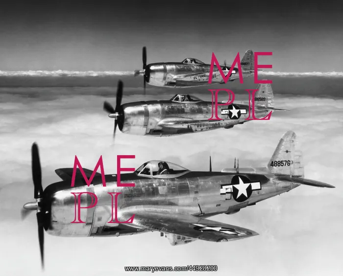 : Republic P-47N Thunderbolt : Republic P-47N Thunderbolt