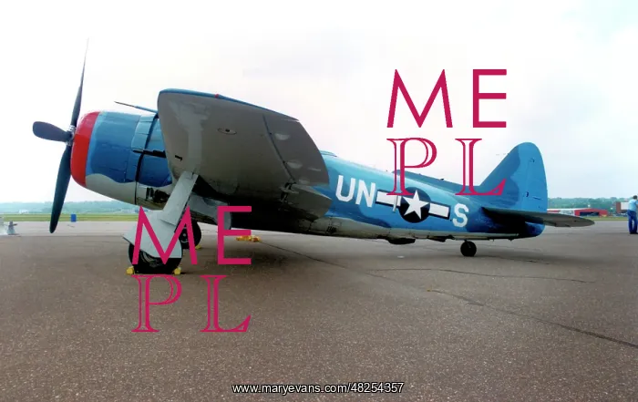 : Republic P-47N Thunderbolt N47TB : Republic P-47N Thunderbolt N47TB
