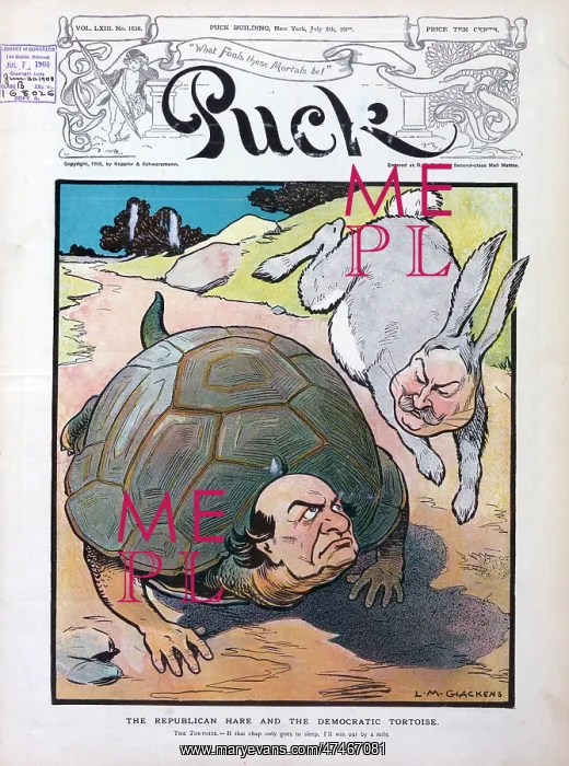 : The republican hare and the democratic tortoise : The republican hare and the democratic tortoise
