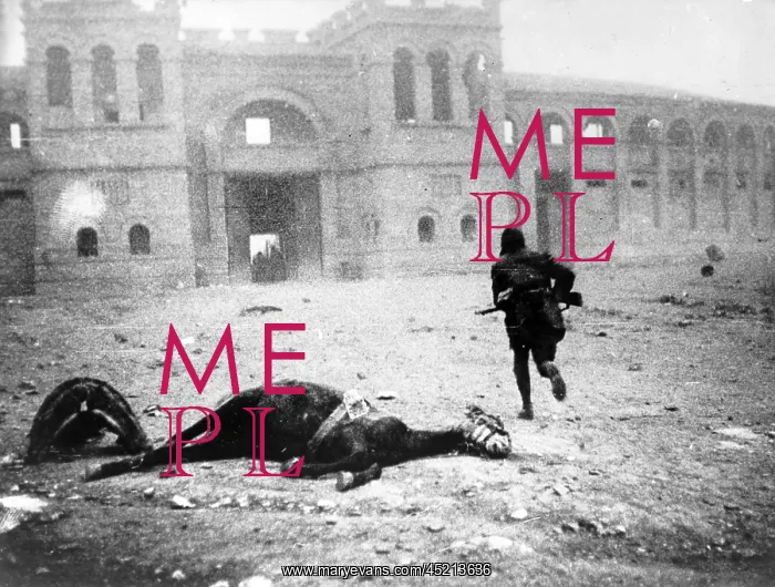 : A Republican soldier passing a dead horse ? : A Republican soldier passing a dead horse ?