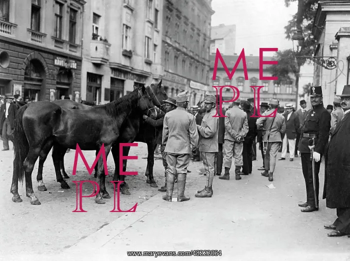 : Requisition of horses for the military service, 1914 : Requisition of horses for the military service, 1914