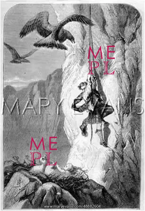 : RESCUE FROM EAGLE NEST : RESCUE FROM EAGLE NEST