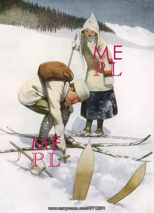  : Rescuing Buried Skier