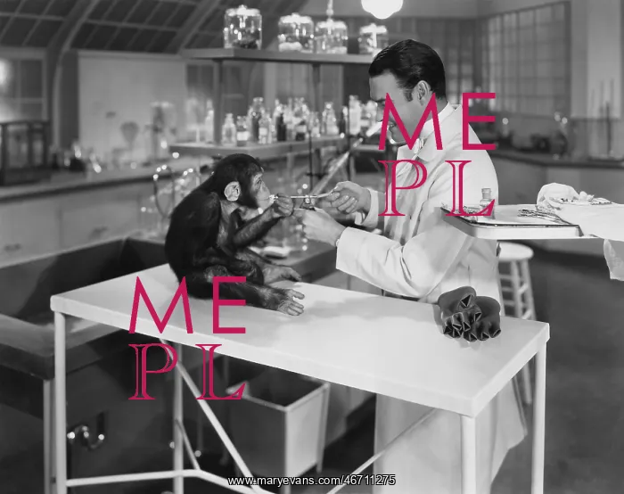 : Research scientist animal testing in the laboratory : Research scientist animal testing in the laboratory