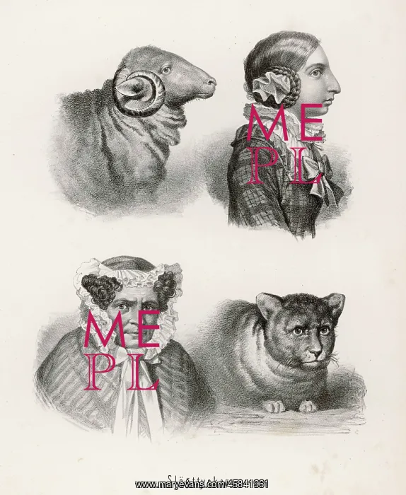 : Resemblance of animals and their owners : Resemblance of animals and their owners