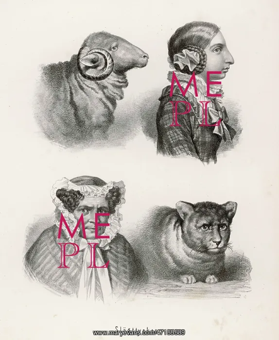 : Resemblance of animals and their owners : Resemblance of animals and their owners