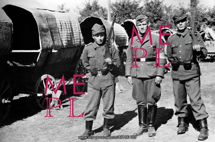 : Resettlement of enthnic Germans from Romania, 1940 : Resettlement of enthnic Germans from Romania, 1940