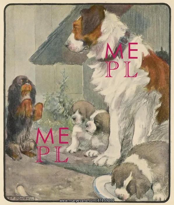 : RESPECTFUL DOG : RESPECTFUL DOG