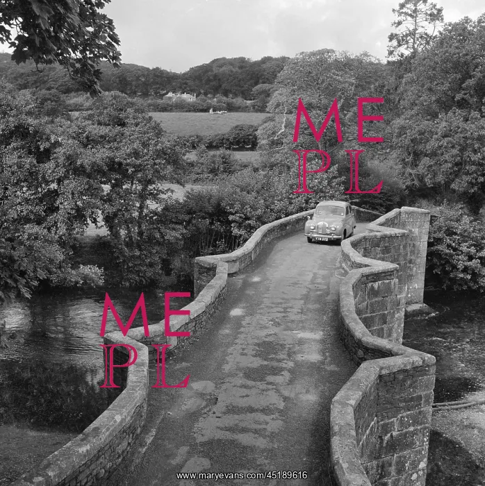 : RESPRYN BRIDGE : RESPRYN BRIDGE