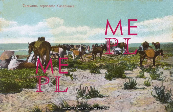 : Resting caravan - Casablanca, Morocco : Resting caravan - Casablanca, Morocco