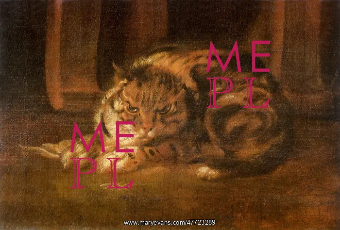  : Resting Cat