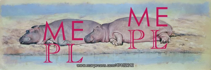 : Two Resting Hippopotami by the water's edge : Two Resting Hippopotami by the water's edge