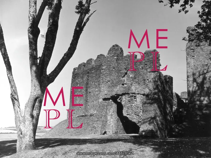 : RESTORMEL CASTLE : RESTORMEL CASTLE