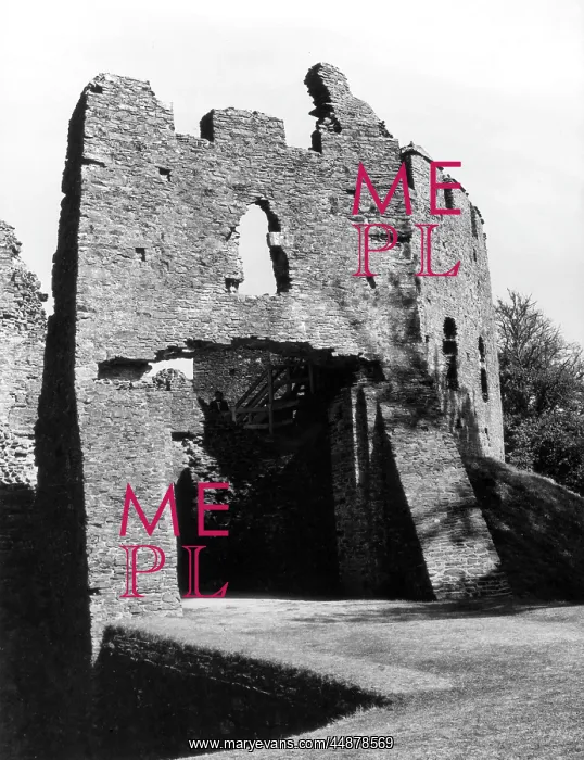 : RESTORMEL CASTLE : RESTORMEL CASTLE