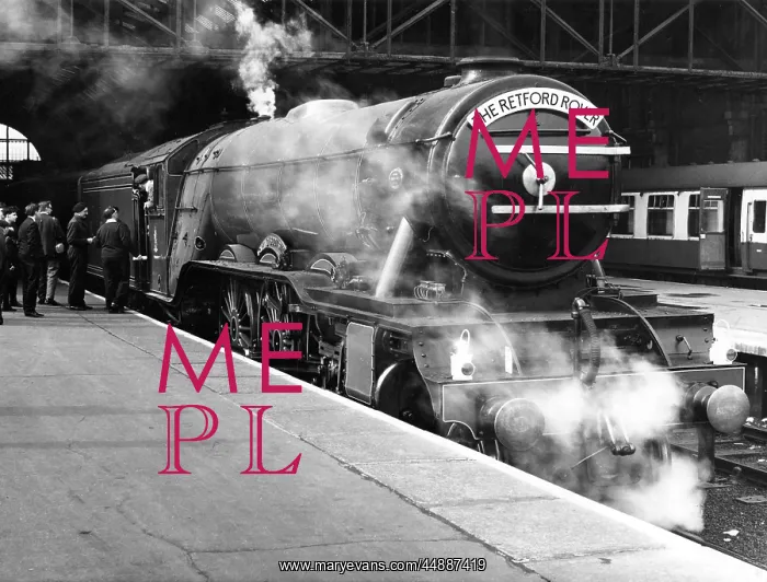 : RETFORD ROVER TRAIN : RETFORD ROVER TRAIN