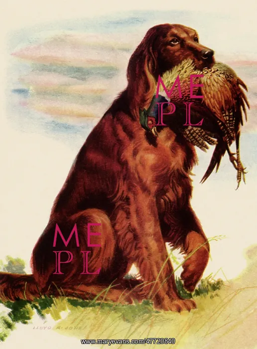 : Retriever Fetches Kill : Retriever Fetches Kill