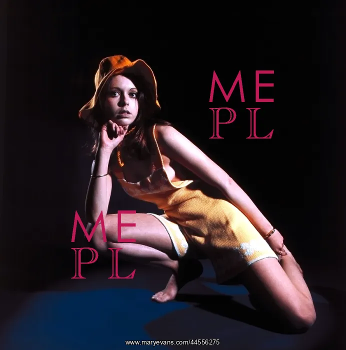  : Retro fashion model