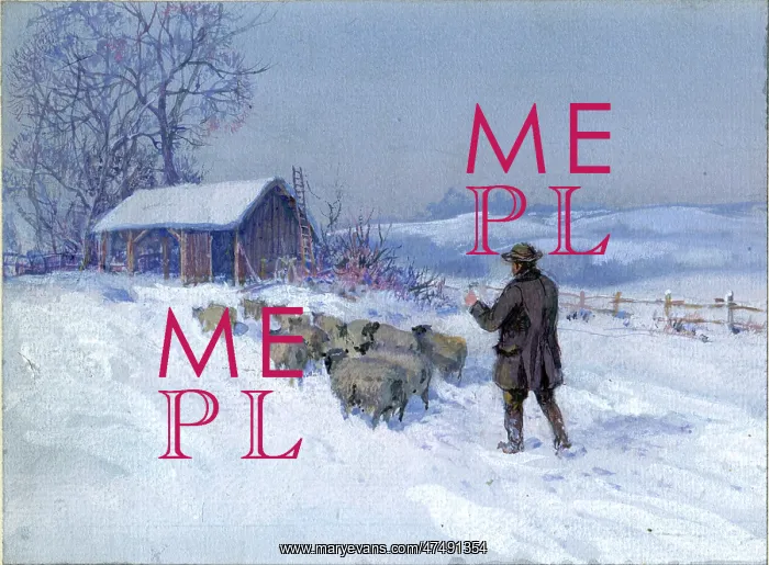  : The Return of the Flock - snowscene