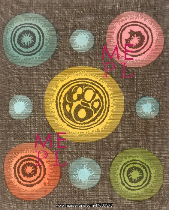 : Rev Bennet's Stars - 1794 : Rev Bennet's Stars - 1794