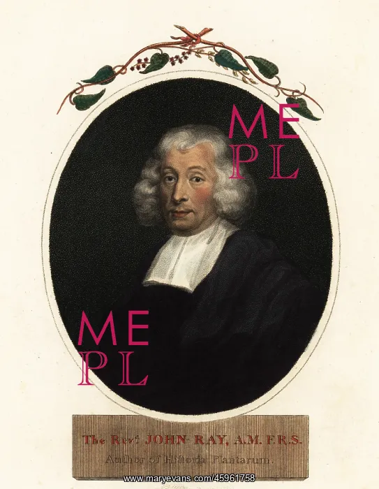 : Reverend John Ray, naturalist and botanist : Reverend John Ray, naturalist and botanist