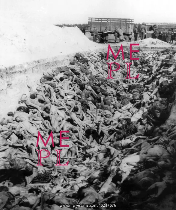 : Review - Mass grave at Bergen-Belsen concentration camp : Review - Mass grave at Bergen-Belsen concentration camp