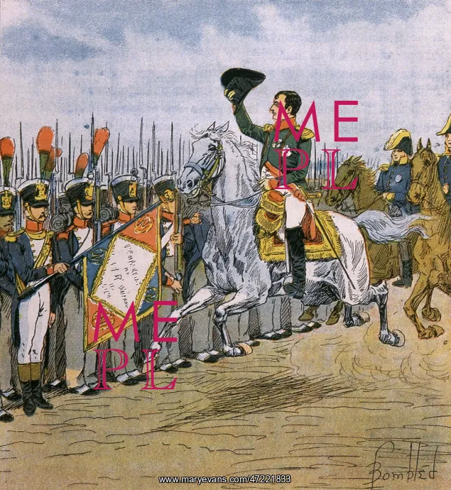 : REVIEWS TROOPS AT LYON : REVIEWS TROOPS AT LYON