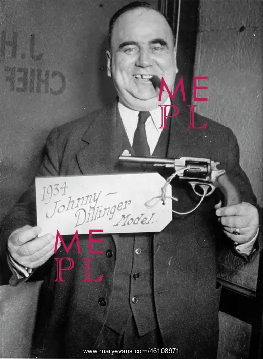 : Revolver Johnny Dillinger : Revolver Johnny Dillinger