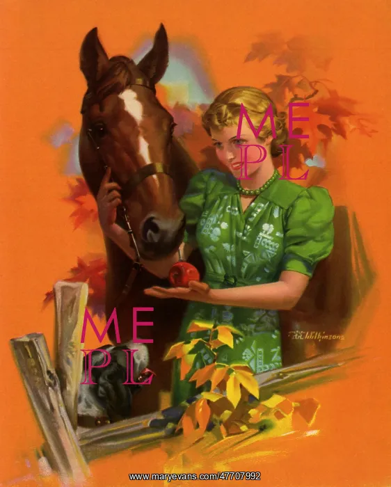  : Rewarding Horse with Apple