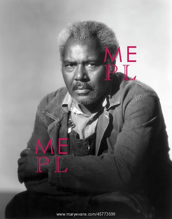  : Rex Ingram, man, actor, celebrity