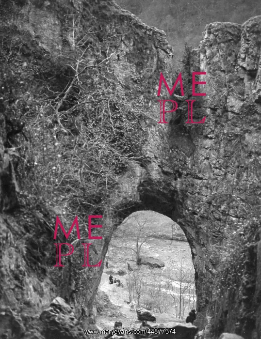 : REYNARD'S CAVE : REYNARD'S CAVE