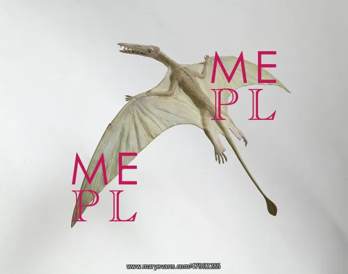 : Rhamphorhynchus : Rhamphorhynchus