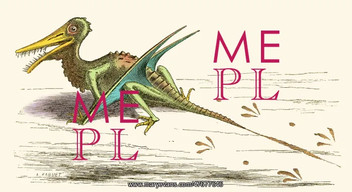 : Rhamphorhynchus, Illustration : Rhamphorhynchus, Illustration