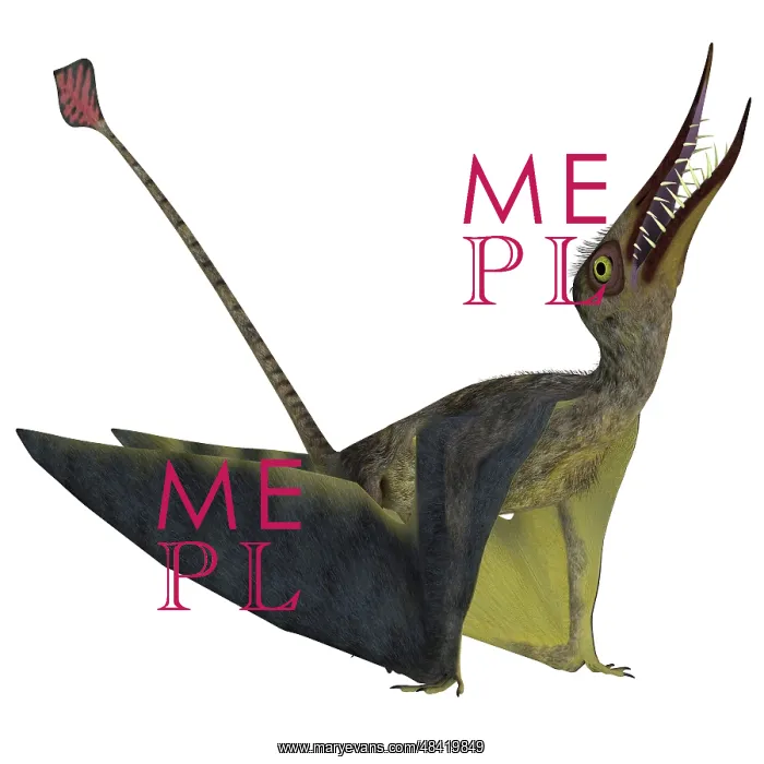 : Rhamphorhynchus pterosaur : Rhamphorhynchus pterosaur