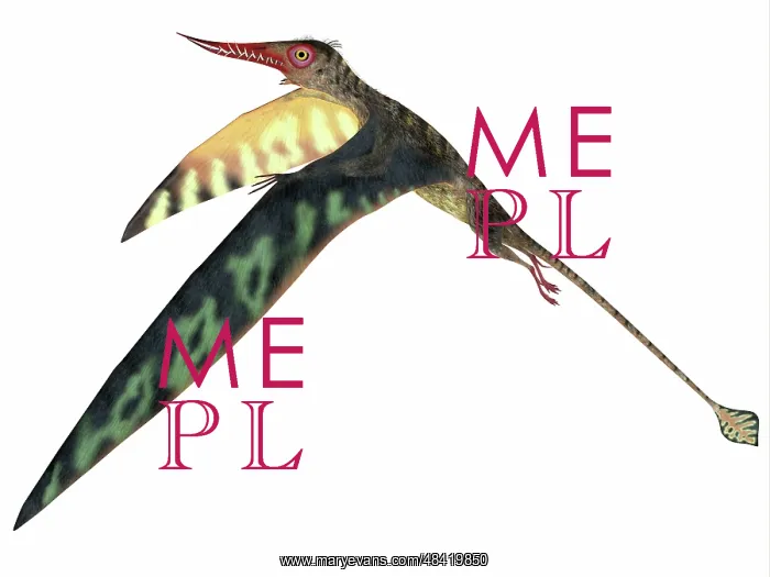 : Rhamphorhynchus pterosaur : Rhamphorhynchus pterosaur