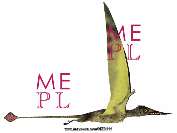 : Rhamphorhynchus pterosaur : Rhamphorhynchus pterosaur
