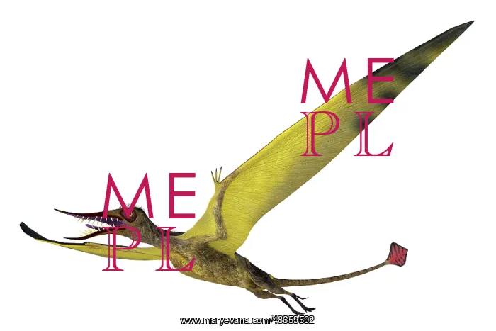 : Rhamphorhynchus pterosaur with wings spread on : Rhamphorhynchus pterosaur with wings spread on