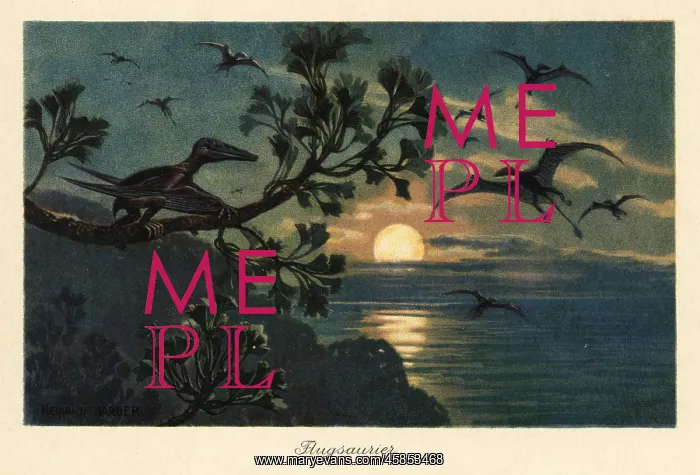 : Rhamphorhynchus pterosaurs flying in the moonlight : Rhamphorhynchus pterosaurs flying in the moonlight