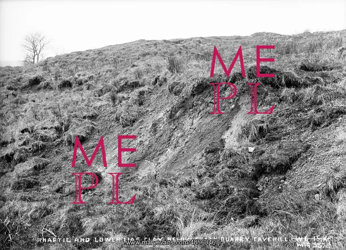  : Rhaptic and Lower Lias Clay, Below Chalk Quarry, Cavehill